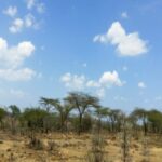 land-for-sale-in-mlolongo2